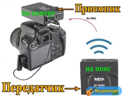 Як вибрати петлічний мікрофон