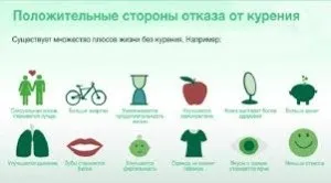 Як вивести нікотин з організму, світ без шкоди (організму) Як вивести нікотин з організму, світ без шкоди