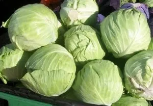 Як зберігати капусту в холодильнику, продукти харчування! (Капусту) Як зберігати капусту в холодильнику, продукти харчування!