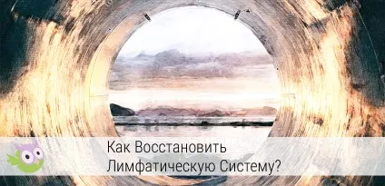 Як відновити лімфатичну систему або чиста вода (вода) Як відновити лімфатичну систему або чиста вода