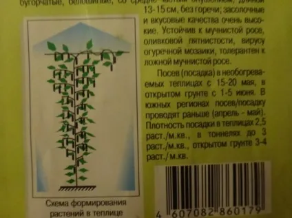 Як виростити ранні огірки, в тому числі без теплиці сорти, особливості вирощування, посадка і догляд (посадка) Як виростити ранні огірки, в тому числі без теплиці сорти, особливості вирощування, посадка і догляд