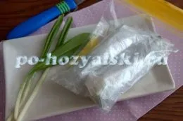 Як заморозити черемшу, рецепт на зиму (заморозити) Як заморозити черемшу, рецепт на зиму