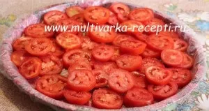 Як заморозити помідори на зиму (заморозити) Як заморозити помідори на зиму