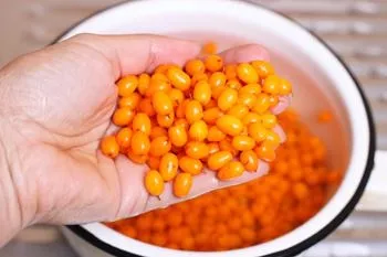 Як заморозити обліпиху - рецепт з покроковими фото (заготовки) Як заморозити обліпиху - рецепт з покроковими фото