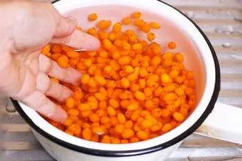 Як заморозити обліпиху - рецепт з покроковими фото (замороженої обліпихи можна) Як заморозити обліпиху - рецепт з покроковими фото