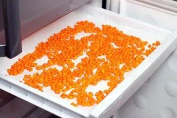 Як заморозити обліпиху - рецепт з покроковими фото (листочки інше сміття) Як заморозити обліпиху - рецепт з покроковими фото