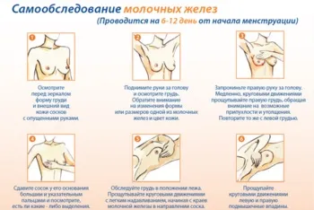 Капустяний лист при мастопатії - дізнайтеся найефективніші рецепти (лист) Капустяний лист при мастопатії - дізнайтеся найефективніші рецепти