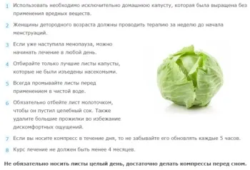 Капустяний лист при мастопатії - дізнайтеся найефективніші рецепти (самі) Капустяний лист при мастопатії - дізнайтеся найефективніші рецепти