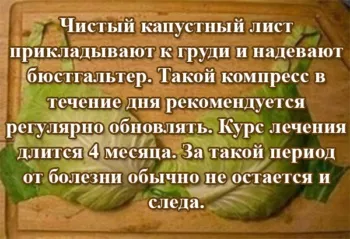 Капустяний лист при мастопатії - дізнайтеся найефективніші рецепти (капустяний) Капустяний лист при мастопатії - дізнайтеся найефективніші рецепти