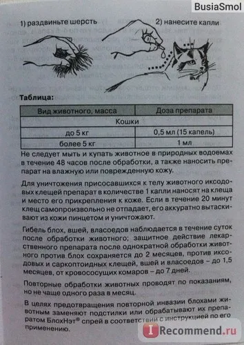 Краплі від бліх і кліщів блохнет max інсектоакарицидної препарат - «краплі від бліх з ароматом щось нове (кліщів) Краплі від бліх і кліщів блохнет max інсектоакарицидної препарат - «краплі від бліх з ароматом щось нове