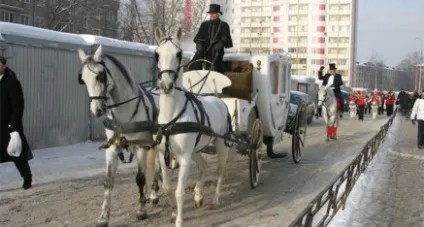 Карета на весілля - організація і проведення свят в Москві і Підмосков'ї