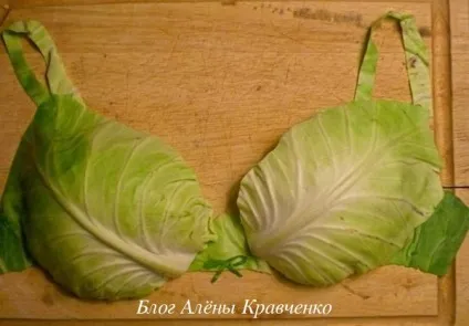 Капустяний лист при мастопатії - ефективне лікування, блог Олени Кравченко (мастопатії) Капустяний лист при мастопатії - ефективне лікування, блог Олени Кравченко