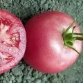 Кладоспоріоз - бура плямистість листя помідор (опис, лікування) (бура) Кладоспоріоз - бура плямистість листя помідор (опис, лікування)