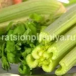 Китайська груша користь і шкода (груша користь шкоду) Китайська груша користь і шкода