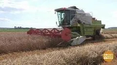 До чого призводить байдужість