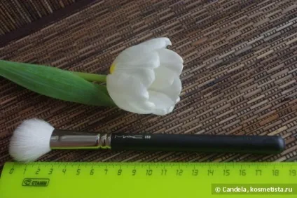 Кисті для макіяжу mac і інші відгуки