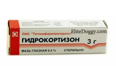 Ячмінь на оці у цуценяти йорка, шпіца, чихуахуа (оці) Ячмінь на оці у цуценяти йорка, шпіца, чихуахуа