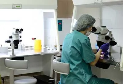 Японський протокол еко особливості, переваги і недоліки (протокол) Японський протокол еко особливості, переваги та недоліки