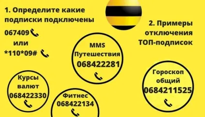 Заборгованість билайн як дізнатися за номером телефону Корпаративная клієнтам за підписки (билайн) Заборгованість билайн як дізнатися за номером телефону Корпаративная клієнтам за підписки