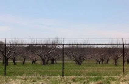 Огорожа з колючого дроту своїми руками відео інструкція (дроту) Огорожа з колючого дроту своїми руками відео інструкція