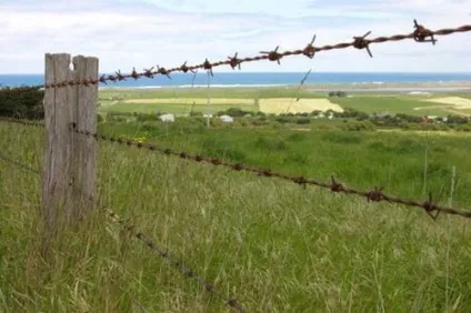 Огорожа з колючого дроту своїми руками відео інструкція (колючим) Огорожа з колючого дроту своїми руками відео інструкція