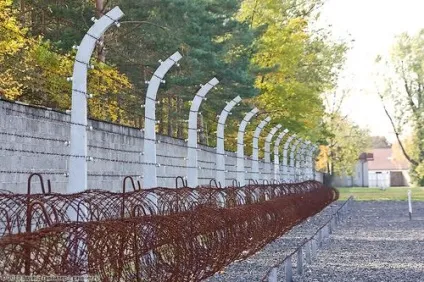 Огорожа з колючого дроту своїми руками відео інструкція (колючим) Огорожа з колючого дроту своїми руками відео інструкція