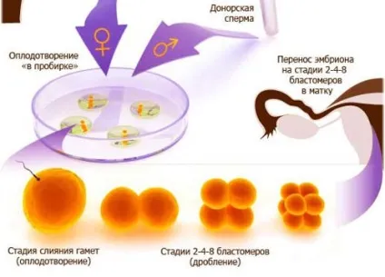 Японський протокол еко особливості, переваги і недоліки (особливо) Японський протокол еко особливості, переваги та недоліки