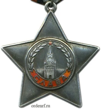 Я не пройшов війну, я війну провоював (розповідь) Я не пройшов війну, я війну провоював