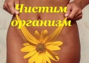 Клізма в домашніх умовах - ефективне очищення організму (правильно) Клізма в домашніх умовах - ефективне очищення організму