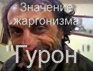 Кого називають Гуроном що означає жаргонізм гурон гурон це (це) Кого називають Гуроном що означає жаргонізм гурон гурон це