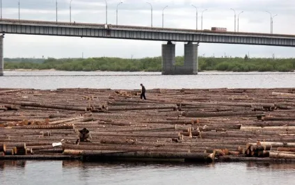 Коли на В'ятці були найбільші дерев'яні плоти