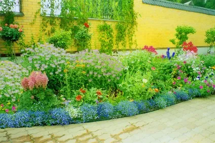 Клумби на присадибній ділянці - мистецтво інтер'єру (присадибній) Клумби на присадибній ділянці - мистецтво інтер'єру