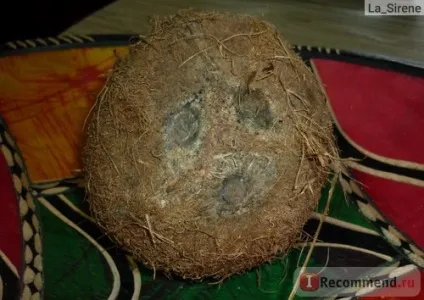 Кокосове масло 100% (coconut oil 100%) - «кокосове масло купити або зробити вдома застосування для (купити) Кокосове масло 100% (coconut oil 100%) - «кокосове масло купити або зробити вдома застосування для