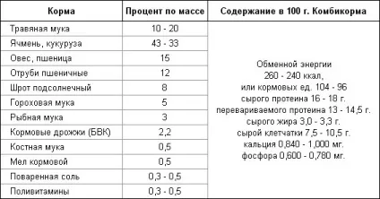 Годування нутрій в домашніх умовах