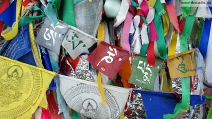 Коні вітру, дороги світу
