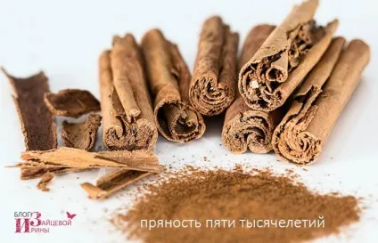 Кориця з медом - солодка парочка для здоров'я і схуднення, блог Ірини Зайцевої (схуднення) Кориця з медом - солодка парочка для здоров'я і схуднення, блог Ірини Зайцевої