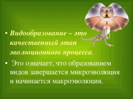 Конспект і презентація - видоутворення - біологія, уроки (біологія уроки конспект і презентація & quot; видоутворення & quot;) Конспект і презентація - видоутворення - біологія, уроки