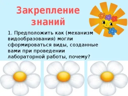 Конспект і презентація - видоутворення - біологія, уроки (біологія уроки конспект і презентація & quot; видоутворення & quot;) Конспект і презентація - видоутворення - біологія, уроки