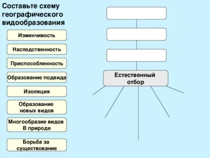 Конспект і презентація - видоутворення - біологія, уроки (біологія уроки конспект і презентація & quot; видоутворення & quot;) Конспект і презентація - видоутворення - біологія, уроки
