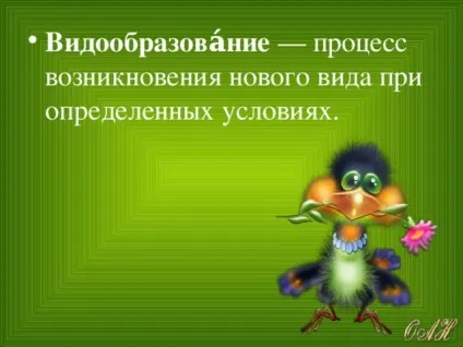 Конспект і презентація - видоутворення - біологія, уроки (біологія уроки конспект і презентація & quot; видоутворення & quot;) Конспект і презентація - видоутворення - біологія, уроки