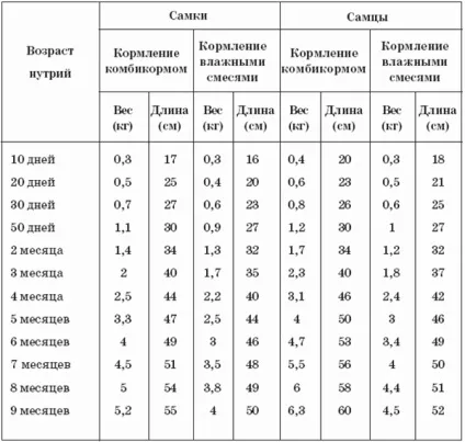 Годування нутрій в домашніх умовах введення в їжу комбікорми і стимуляторів росту (годування) Годування нутрій в домашніх умовах введення в їжу комбікорми і стимуляторів росту