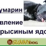 Кістки для собак