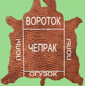 Шкіра чепрак властивості, види, особливості, шкіра та хутро (шкіра) Шкіра чепрак властивості, види, особливості, шкіра та хутро