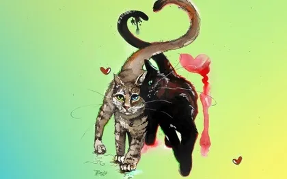 Кішка просить кота після в'язки, рудий кіт (кота) Кішка просить кота після в'язки, рудий кіт