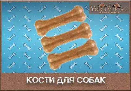 Кістки для собак, які можна надавати, а які не можна (можна) Кістки для собак, які можна надавати, а які не можна