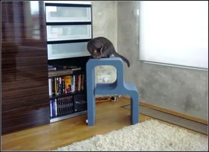 Котячі букви від catworks