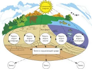 Кругообіг речовин в біосфері вуглецю, азоту, води, кисню, фосфору, сірки (речовин) Кругообіг речовин в біосфері вуглецю, азоту, води, кисню, фосфору, сірки