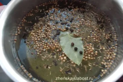 Червонокачанна капуста маринована по-швидкому, жіночі слабкості (капуста) Червонокачанна капуста маринована по-швидкому, жіночі слабкості