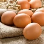 Кури корниш зміст, розведення і продуктивність породи (продуктивність) Кури корниш зміст, розведення і продуктивність породи