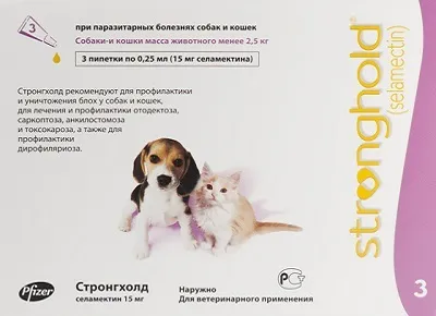 Курячі блохи як позбутися, вибір кошти від курячих бліх - боротьба з домашніми паразитами від а (кошти) Курячі блохи як позбутися, вибір кошти від курячих бліх - боротьба з домашніми паразитами від а